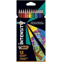 BIC - Lápices de colores intensity triangular mina suave surtidos