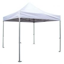 Leisure N Pleasure - Carpa de aluminio con techo de 3 x 3 metros