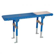 Somefi - Cinta transportadora eco 30 ancho=300mm / l ng=1000mm