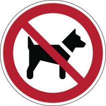 Brady - Panel: prohibido perros 400 mm