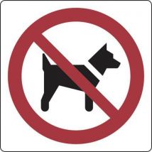 Manutan Expert - Panel 20 x 20 cm (acceso prohibido a perros)