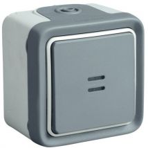 Legrand - Interruptor oscilante con testigo gris (incluido) sali e leg