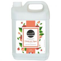 Boldair - Limpiador de manos de melocotón - 5 l - boldair