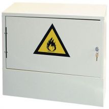 Trionyx - Armario con extintor para productos inflamables - 10l