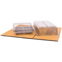 Avery - Caja para 50 tarjetas de identificación verticales