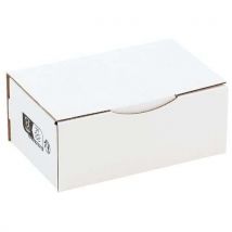 Caja postal 250 x 150 x 100 eco blanca - Manutan