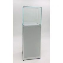50x50x150 cm - Plata - Aluminio - 1 Puerta Batiente - Vitrina Expositiva con Campana - Sarazino