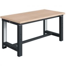 Etabli Si Plateau Multiplis 24mm Réglables Électriquement
