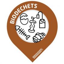 Lot De Stickers 10 Pièces Collec-rossignol