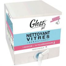 Nettoyant Gel Pour Vitres De 10 L