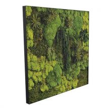 Cadre Végétal Cv43 Portrait Cadre Noir-genexco