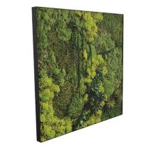 Cadre Végétal Cv44 Portrait Cadre Noir-genexco