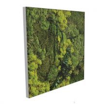 Cadre Végétal Cv44 Portrait Cadre Gris-genexco