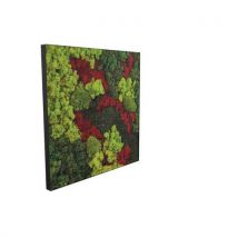 Cadre Végétal Cv45 Portrait Cadre Noir-genexco