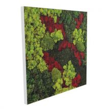 Cadre Végétal Cv45 Portrait Cadre Blanc-genexco