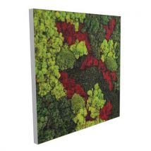 Cadre Végétal Cv45 Portrait Cadre Gris-genexco