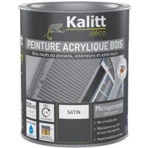 Peinture Bois Micrporeuse Satin - 500 Ml - Gris Clair