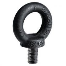 Anneau De Levage Mâle Brut Din 580 Tige Courte 12mm