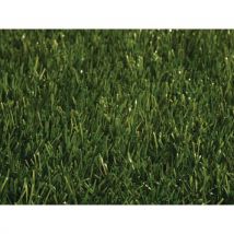 Ml Gazon Paturages Largeur 400cm