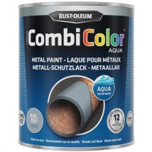 Combicolor Aqua 750ml - Gris Argent Ral7001