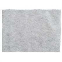 Prefiltre Antipoussiere