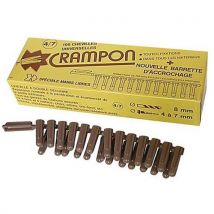 Cheville Crampon 4/7 Bte 100