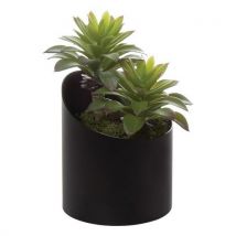 Pot À Poser Vague Noir Sedum