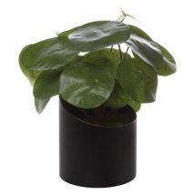 Pot À Poser Vague Noir Pilea