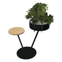 Babylone 2 Branches 1 Tablette Bois + 1 Succulente Noir