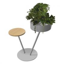 Babylone 2 Branches 1 Tablette Bois + 1 Succulente Gris