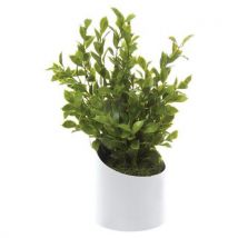 Pot À Poser Vague Blanc Podocarpus