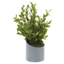 Pot À Poser Vague Gris Podocarpus
