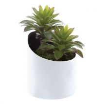 Pot À Poser Vague Blanc Sedum