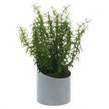 Pot À Poser Vague Gris Ruscus