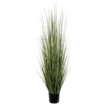 Plante Artificielle Fétuque Vert Hauteur 153cm