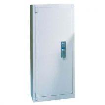 Armoire À Archives Gris Clair Poids:175 Kg Réf.fab.:1100