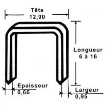 Boite De 5000 Agrafes 15 Mm _ 19839