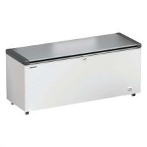 Conservateur Coffre Professionnel 542l-efl 6056- Efl 6056