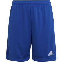 Short Enfant - Adidas - Entrada 22 Bleu Royal 7/8 Ans