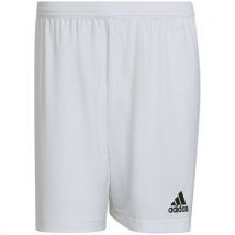 Short - Adidas - Entrada 22 Blanc S