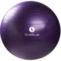 Gymball Parme Ø75 Cm Vrac Sveltus