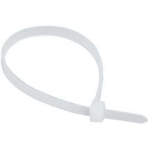 Collier De Serrage L:300 Mm Largeur:4.8 Mm