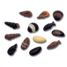 Plaque Friture Fruits De Mer 20 Empreintes_380200