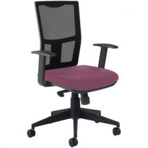 Siège Ritz Dos Résil Nr Ac. Fixes Sans Régla. Lomb Violine