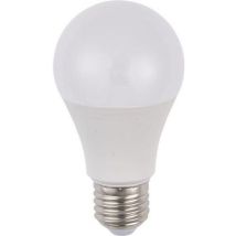 Ampoule Led Standard A60x110 E27 7w 550 Lm