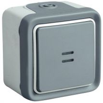 Poussoir À Voyant (inclus) Saillie Legrand Plexo