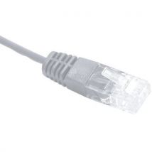 Cordon Utp 1p Gris Rj45/rj45 Telephone 100 Ohms - 050m