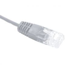 Cordon Utp 1p Gris Rj45/rj45 Telephone 100 Ohms - 10m