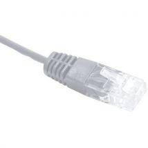 Cordon Utp 1p Gris Rj45/rj45 Telephone 100 Ohms - 2m