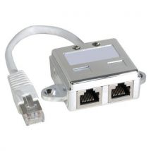 Doubleur De Port Rj45 Blindé